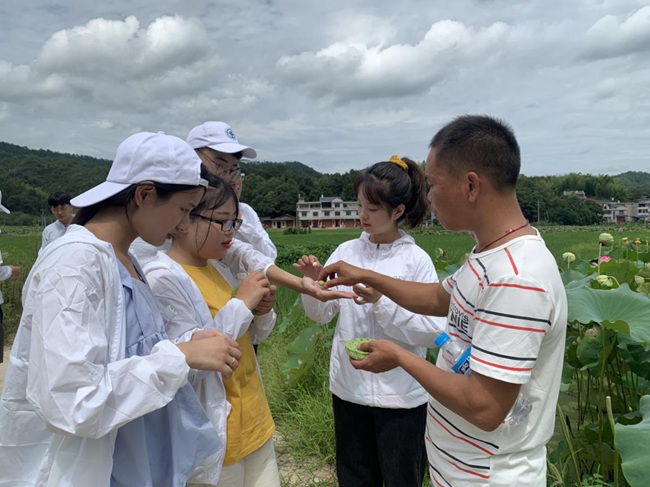 隊(duì)員參觀蓮子生產(chǎn)基地。福建船政交通職業(yè)學(xué)院供圖